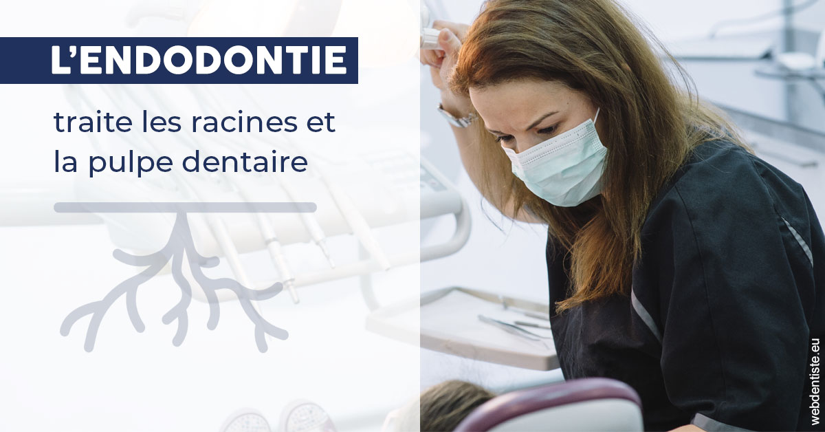 https://selarl-cabinet-docteur-monthean.chirurgiens-dentistes.fr/L'endodontie 1