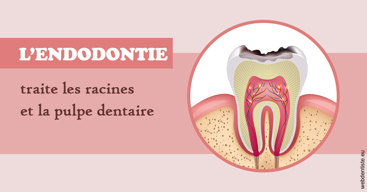 https://selarl-cabinet-docteur-monthean.chirurgiens-dentistes.fr/L'endodontie 2
